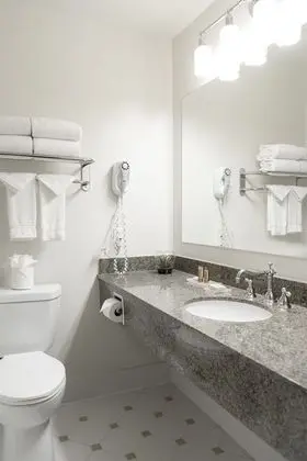 ADA Deluxe King Accessible - Free Breakfast, Internet, Parking