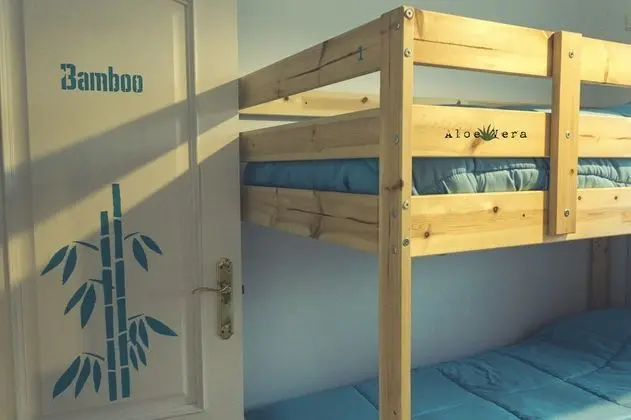 Ortak Ranzalı Oda, Karma Ranzalı Oda, Ortak Banyo (1 bed in a 4-Bed Dormitory Room)