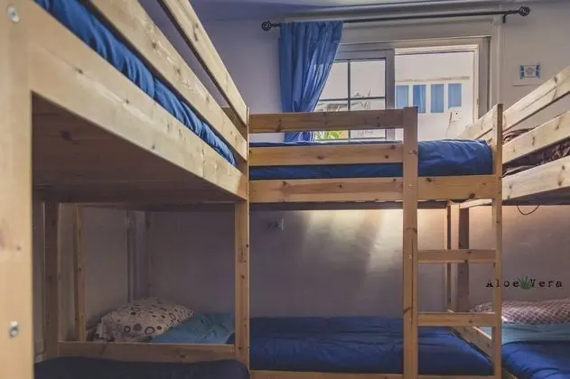 Ortak Ranzalı Oda, Karma Ranzalı Oda, Ortak Banyo (1 bed in a 8-Bed Dormitory Room)