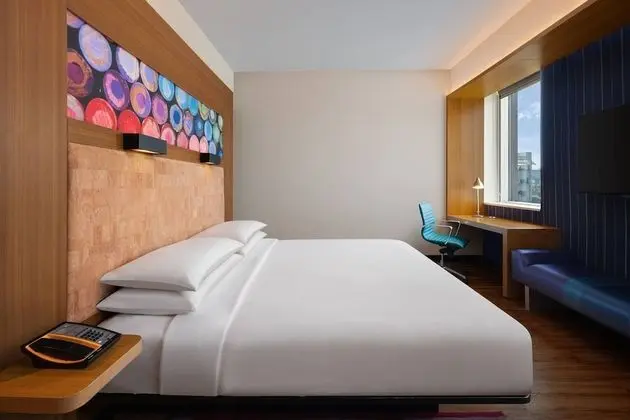 aloft, Oda, 1 En Büyük (King) Boy Yatak, Sigara İçilmez, Şehir Manzaralı