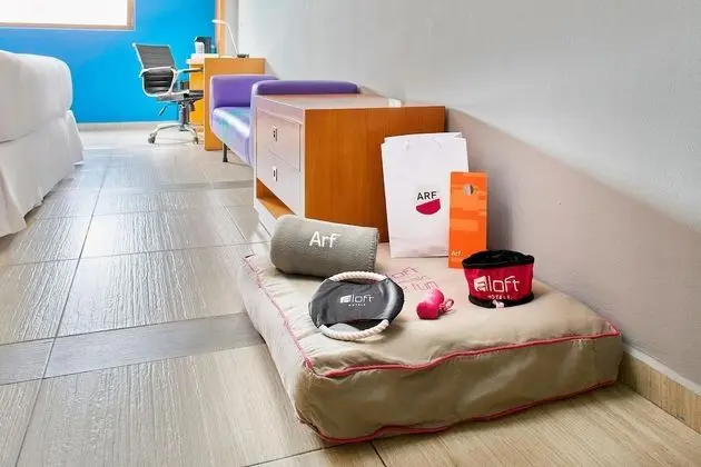 aloft, Oda, 2 Büyük (Queen) Boy Yatak, Lagün Manzaralı
