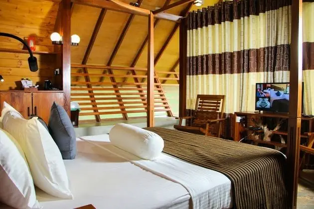 Deluxe Dağ Evi