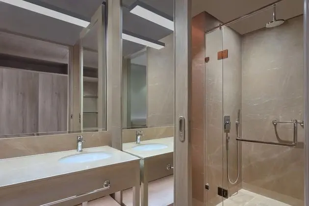 Süit, 1 Yatak Odası, Sigara İçilmez