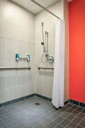 Oda, 1 En Büyük (King) Boy Yatak (Mobility Accessible, Roll-In Shower)