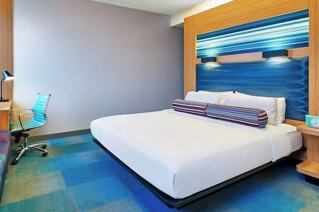 Oda, 1 En Büyük (King) Boy Yatak (Mobility Accessible, Roll-In Shower)