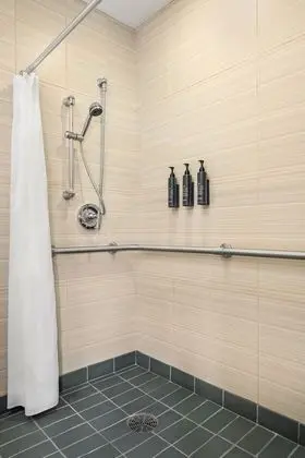 Oda, 2 Büyük (Queen) Boy Yatak (Mobility Accessible, Roll-In Shower)