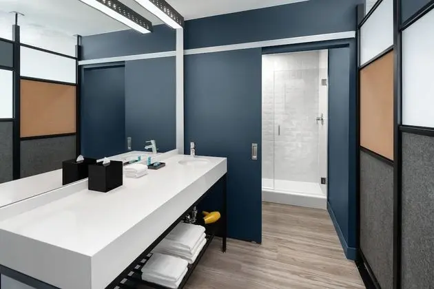 aloft, Oda, 2 Büyük (Queen) Boy Yatak, Sigara İçilmez, Şehir Manzaralı