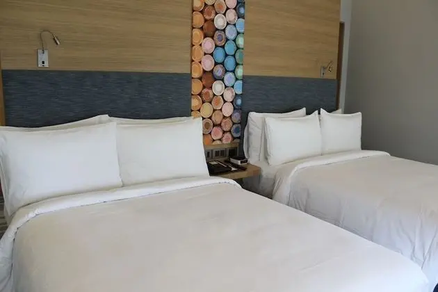 aloft, Oda, 2 Tek Kişilik Yatak, Sigara İçilmez, Havuz Manzaralı