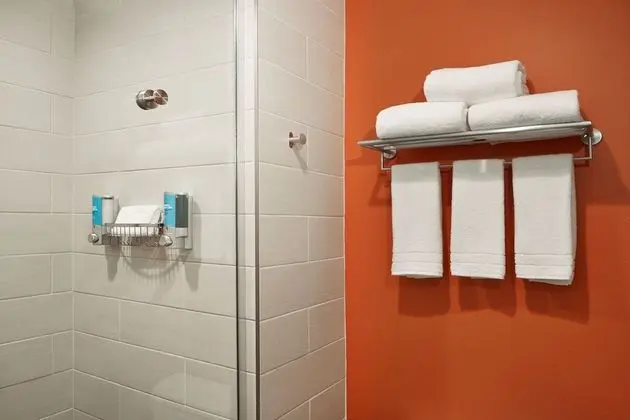 Oda, 1 En Büyük (King) Boy Yatak (Mobility Accessible, Roll-In Shower)
