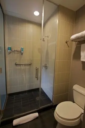 aloft, Oda, 1 En Büyük (King) Boy Yatak
