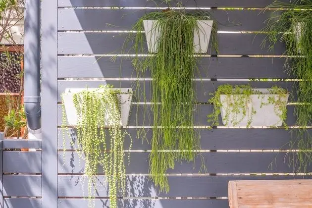 Standard Stüdyo