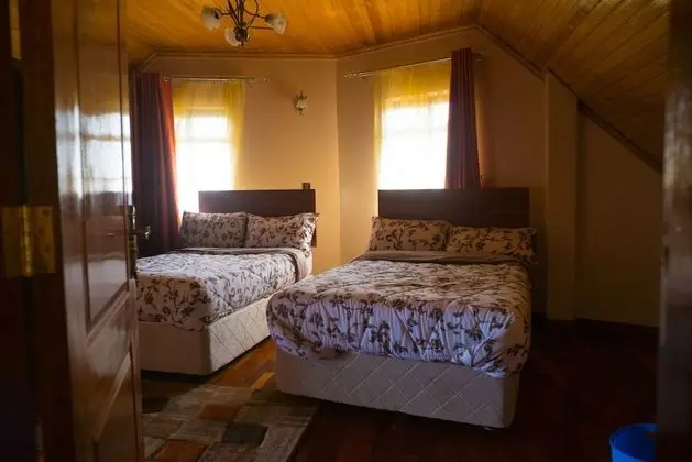 Deluxe Tek Büyük veya İki Ayrı Yataklı Oda, Sigara İçilmez
