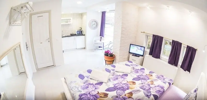 Apart Daire, 1 Yatak Odası, Teras