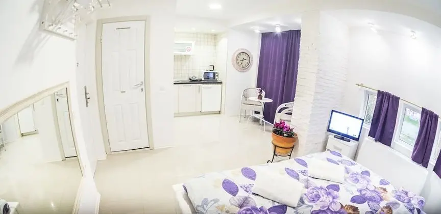 Apart Daire, 1 Yatak Odası, Teras
