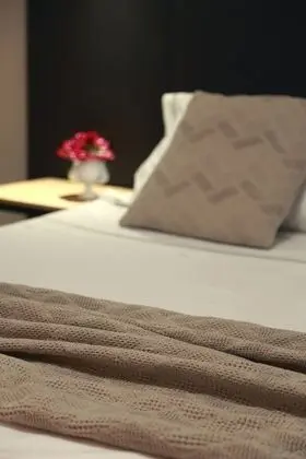 Superior Tek Büyük veya İki Ayrı Yataklı Oda