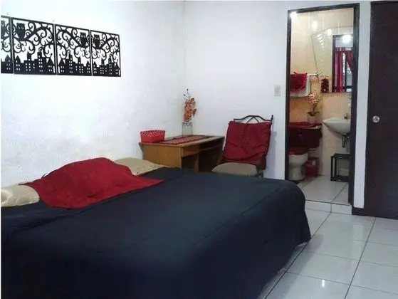 Comfort Tek Büyük Yataklı Oda, 1 Büyük (Queen) Boy Yatak, Sigara İçilmez, Banyolu/Duşlu
