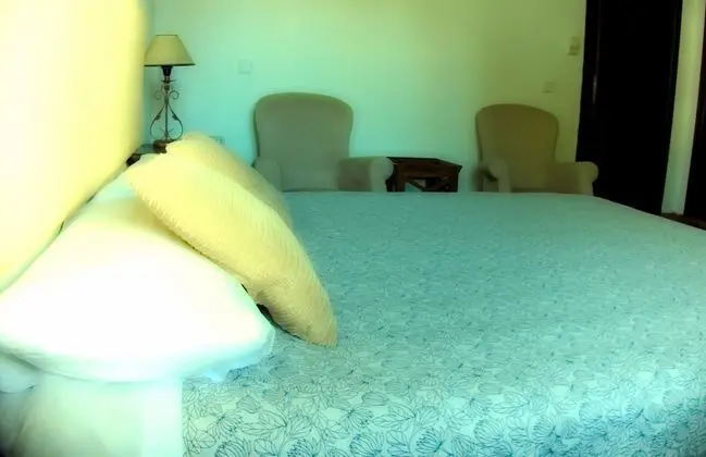 Superior Tek Büyük Yataklı Oda, 1 Çift Kişilik Yatak, Engellilere Uygun