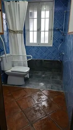 Superior Tek Büyük Yataklı Oda, 1 Çift Kişilik Yatak, Engellilere Uygun