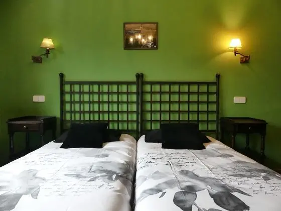 Superior Tek Büyük Yataklı Oda, 2 Tek Kişilik Yatak