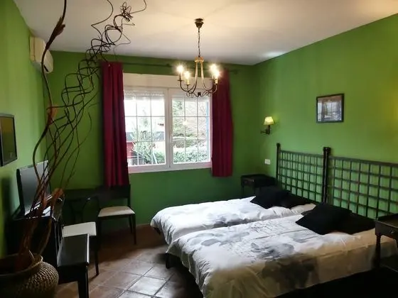 Superior Tek Büyük Yataklı Oda, 2 Tek Kişilik Yatak