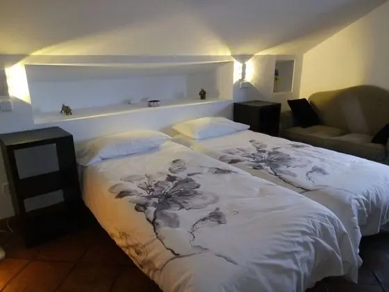 Superior Tek Büyük Yataklı Oda, 2 Tek Kişilik Yatak