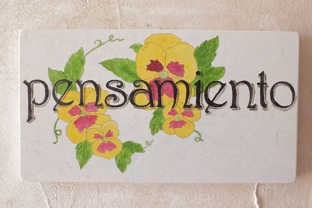 Tek Büyük Yataklı Oda, Sigara İçilmez (Pensamiento)