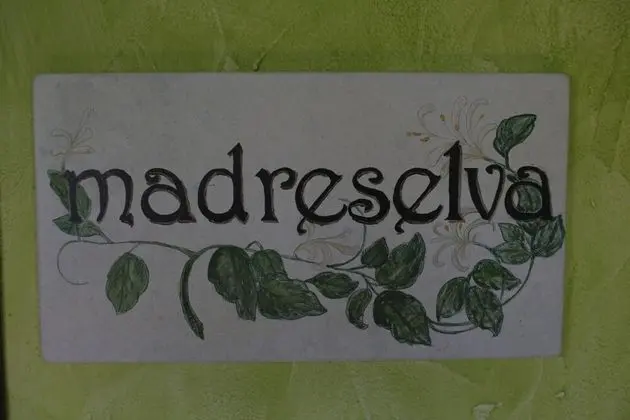 Tek Büyük Yataklı Oda, Sigara İçilmez, Teras (Madreselva)