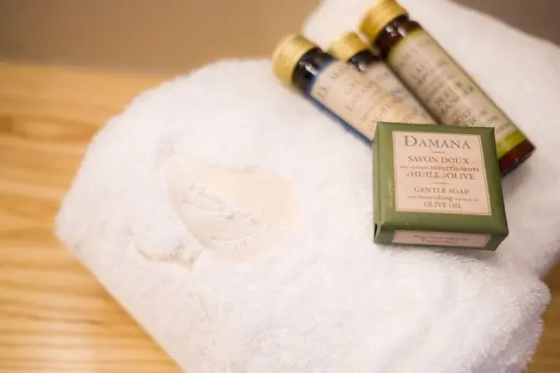 Süit