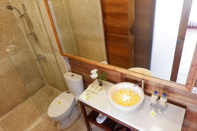 Deluxe Oda, 2 Tek Kişilik Yatak
