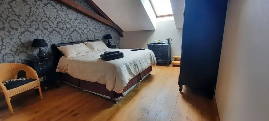 Standard Tek Büyük Yataklı Oda, Banyolu/Duşlu (Chambre BAROQUE)