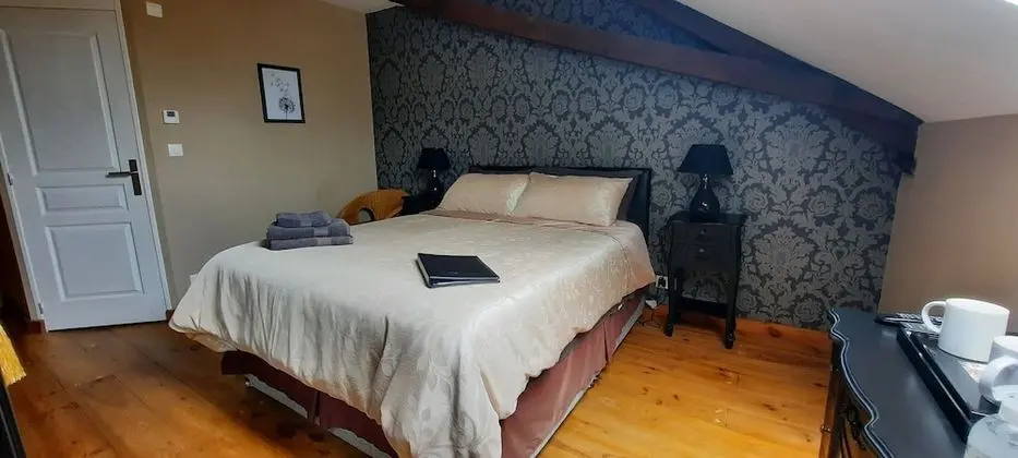 Standard Tek Büyük Yataklı Oda, Banyolu/Duşlu (Chambre BAROQUE)