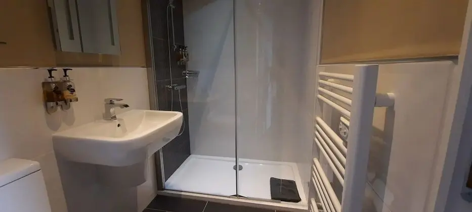 Standard Tek Büyük Yataklı Oda, Banyolu/Duşlu (Chambre BAROQUE)