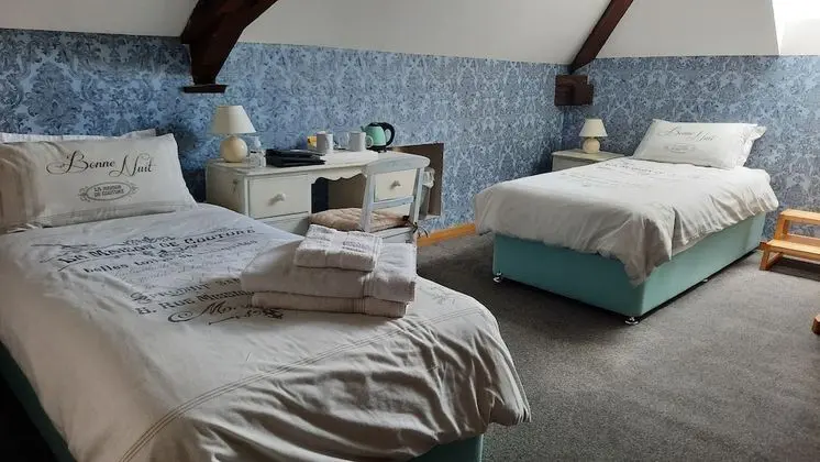 Tek Büyük veya İki Ayrı Yataklı Oda, Banyolu/Duşlu (Chambre MATISSE)