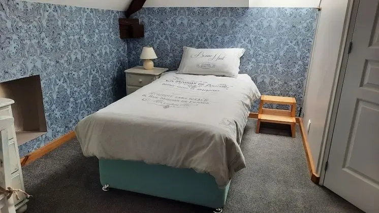 Tek Büyük veya İki Ayrı Yataklı Oda, Banyolu/Duşlu (Chambre MATISSE)