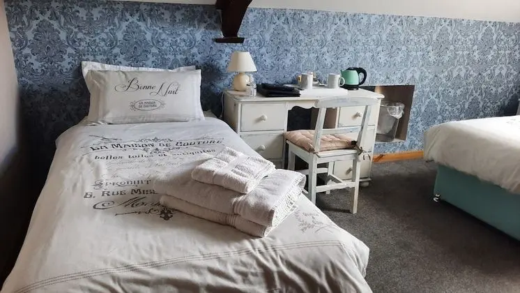 Tek Büyük veya İki Ayrı Yataklı Oda, Banyolu/Duşlu (Chambre MATISSE)