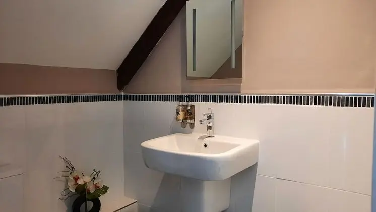 Tek Büyük veya İki Ayrı Yataklı Oda, Banyolu/Duşlu (Chambre MATISSE)