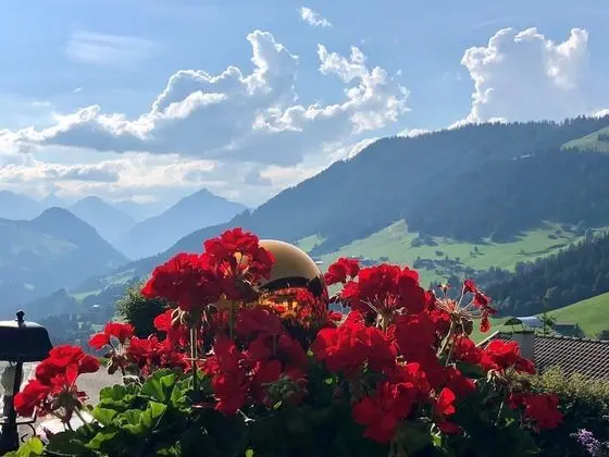 Traditional Apart Daire (4 Persons)