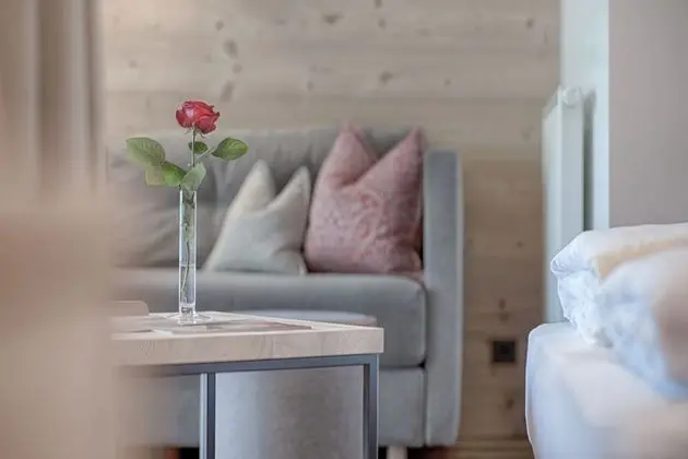 Superior Tek Büyük Yataklı Oda