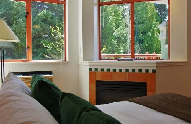 Comfort Stüdyo, Birden Çok Yatak (Deluxe Queen Studio)