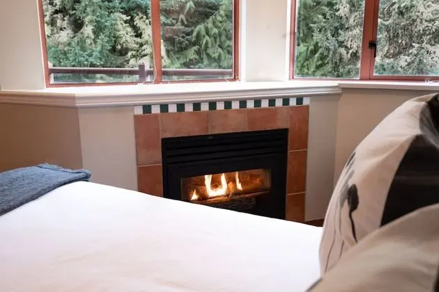 Comfort Stüdyo, Birden Çok Yatak (Deluxe Queen Studio)