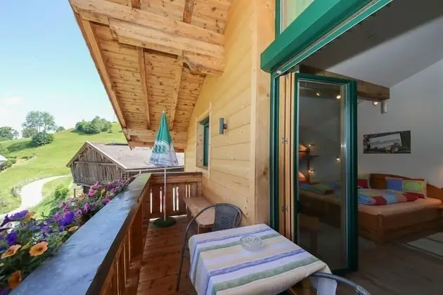 Apart Daire (Grafleiten oder Weberalm)