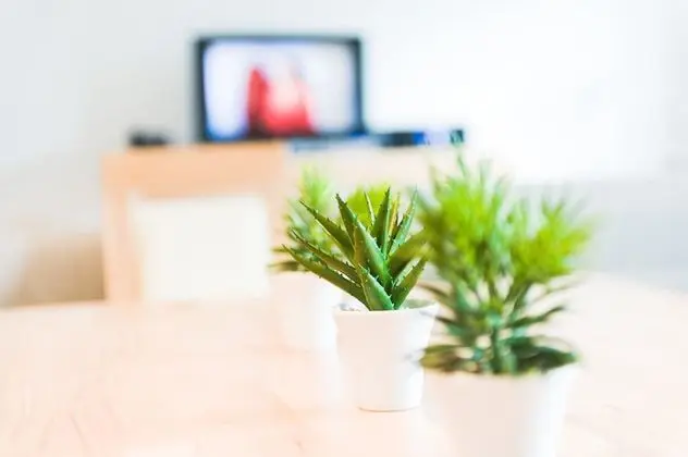 Standard Apart Daire, 3 Yatak Odası, Teras, Dağ Manzaralı (excl. cleaning fee 160 EUR)