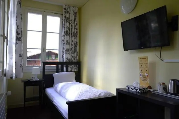 Basic Tek Kişilik Oda, 1 Yatak Odası, Özel Banyo, Dağ Manzaralı