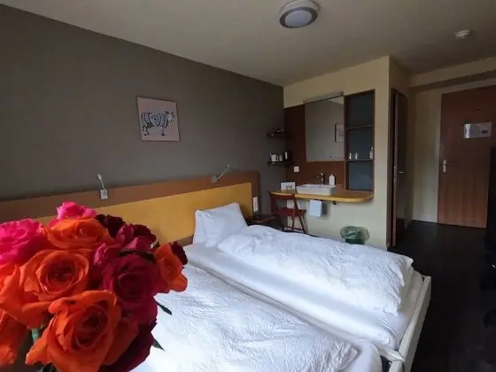 Classic İki Ayrı Yataklı Oda, Balkon, Dağ Manzaralı