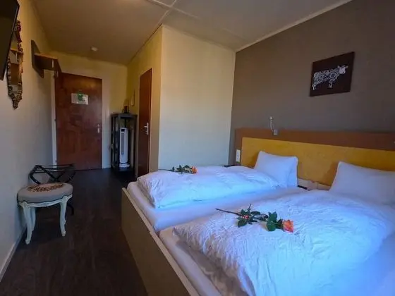 Classic İki Ayrı Yataklı Oda, Balkon, Dağ Manzaralı