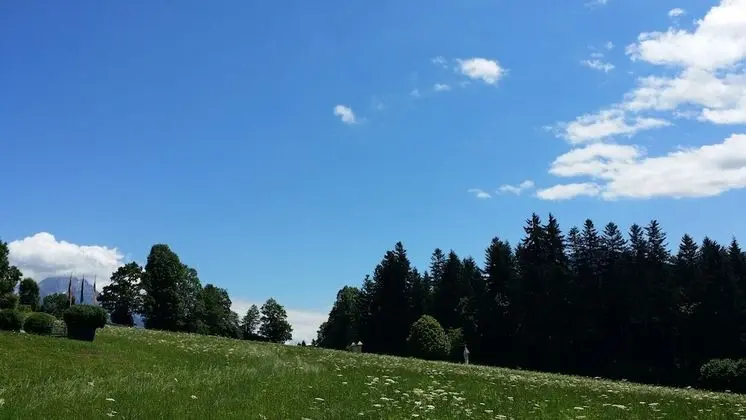 Standard Tek Büyük Yataklı Oda, Balkon, Dağ Manzaralı (Wilder Kaiser 30 m²)