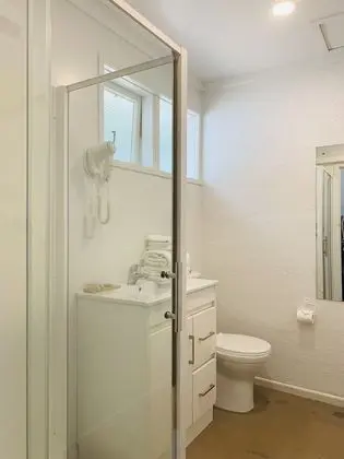 Basic Stüdyo