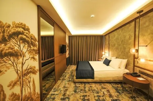 Luxury Studio Suite