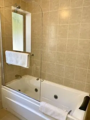Deluxe Apart Daire, 1 Yatak Odası, Sigara İçilmez, Mutfak (Deluxe Spa)