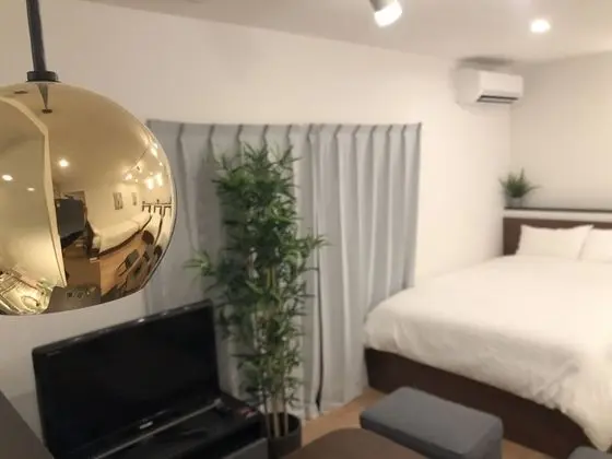 Tek Büyük veya İki Ayrı Yataklı Oda (102)